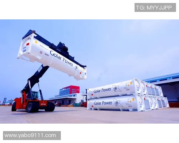 独家深度解析LNG市场意识对比及其未来发展趋势MBA